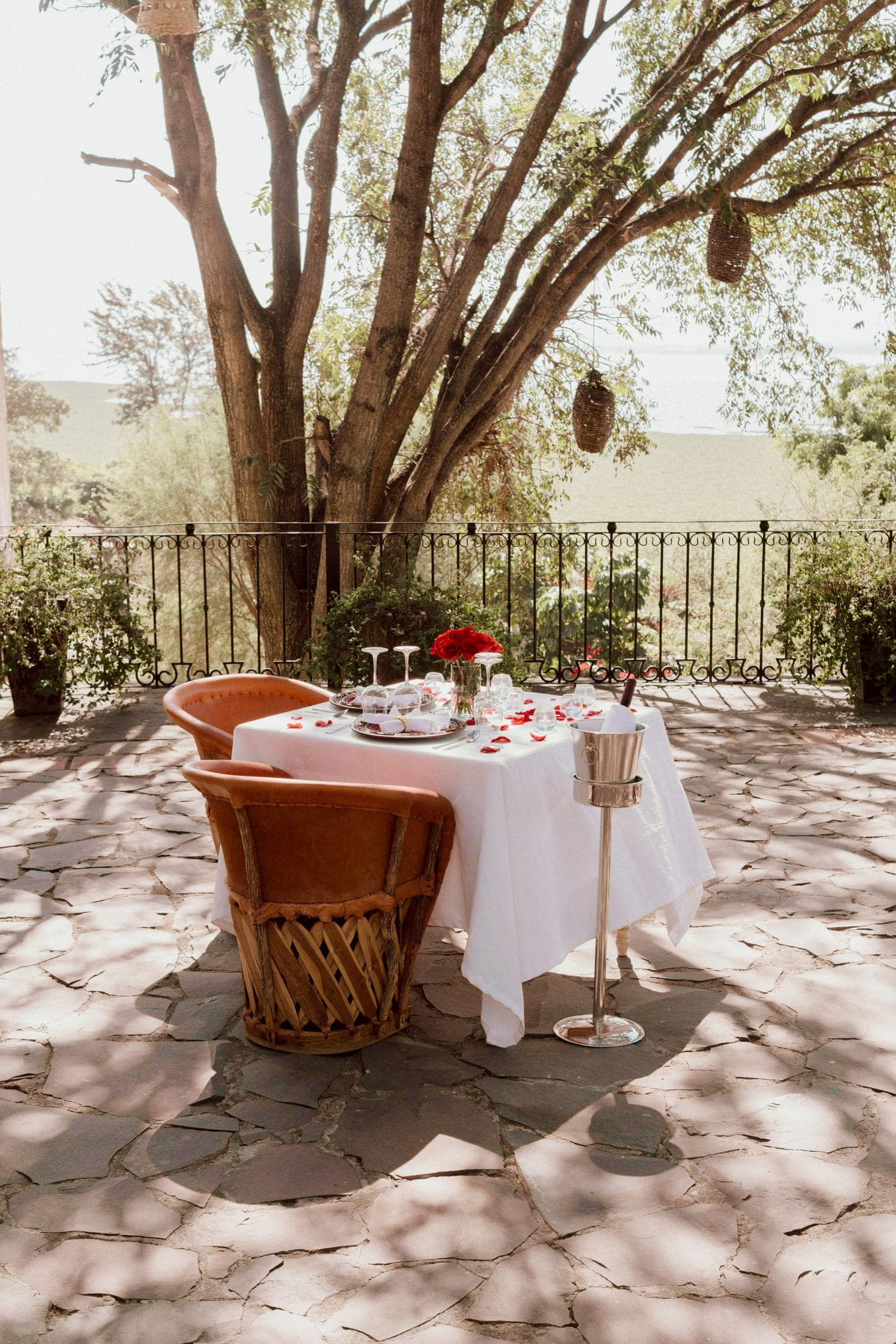 Mesa romántica bajo árbol con champagne y pétalos de rosa