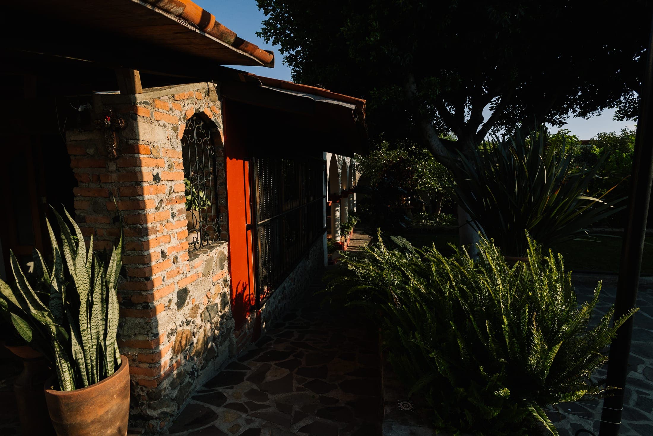 Rincón con magueyes y muro de piedra