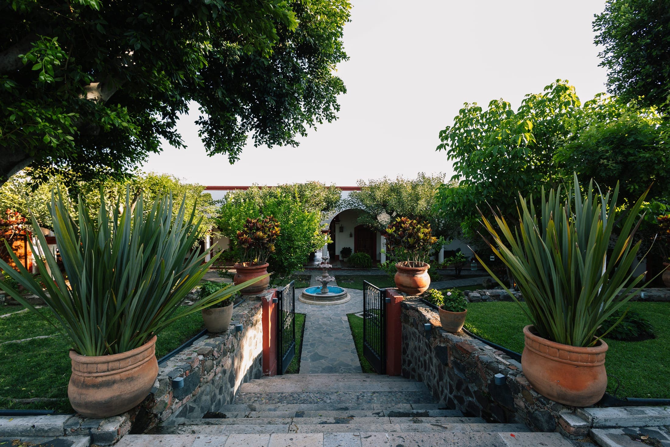 Junior - Jardín